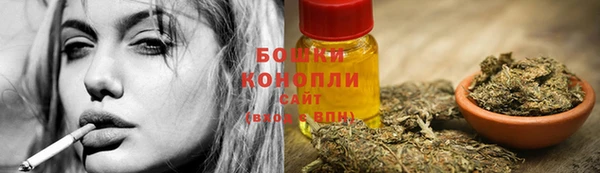 СК Дмитриев