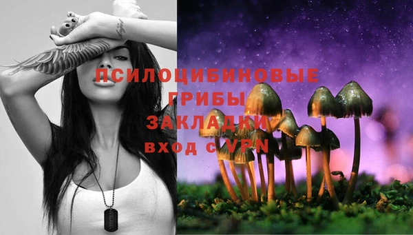 СК Дмитриев