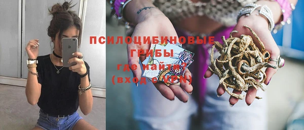 СК Дмитриев